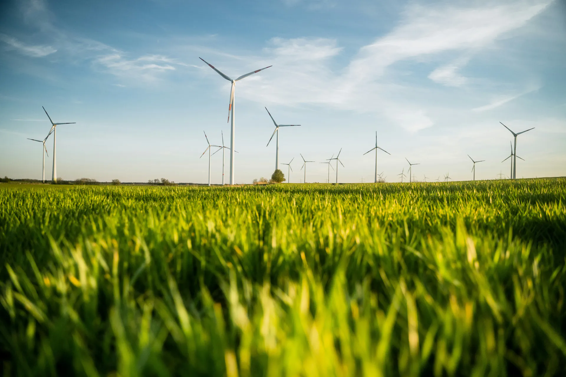 Conclusion of a contract for the purchase or sale of a wind power or PV project