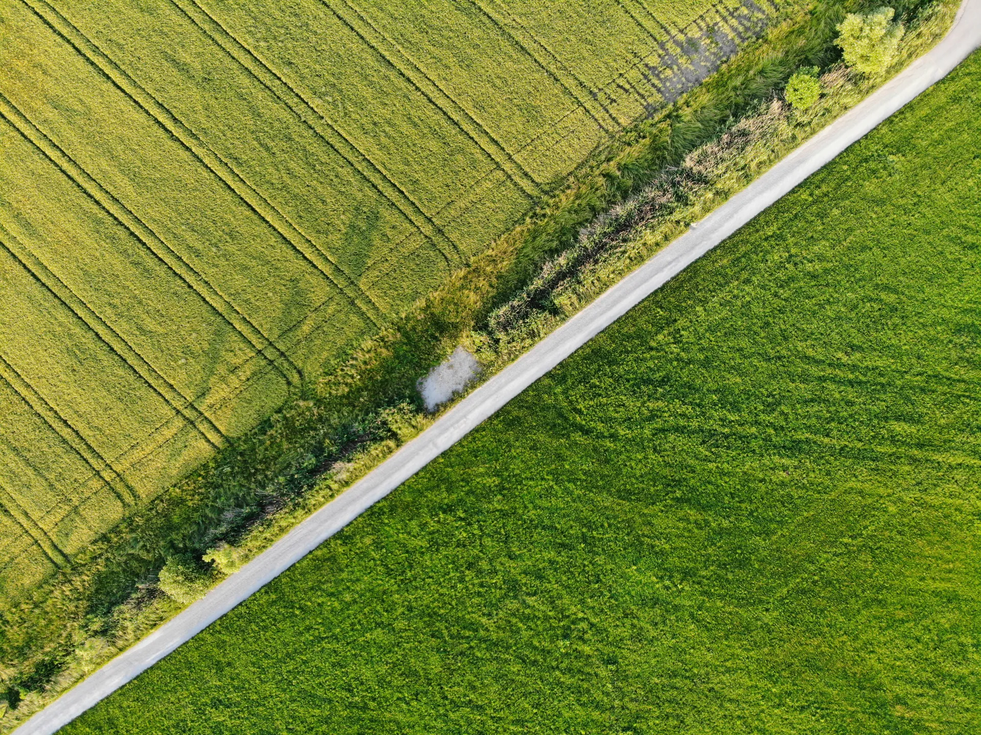 Drone image of an open space for wind or PV project development